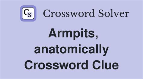 armpit crossword clue|armpit anatomically crossword clue.